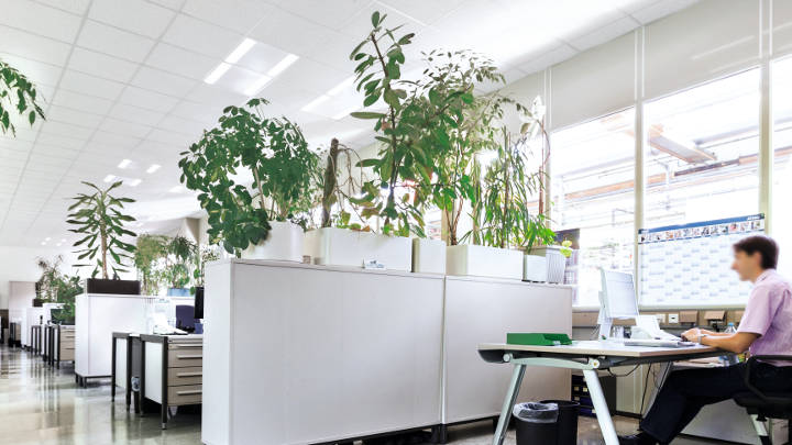 Egyterű iroda a Bosch egyik németországi irodájában a Philips irodai világítástechnikájával megvilágítva.