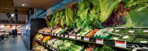 PremiumColor: A legjobb világítás gyümölcsökhöz és zöldségekhez