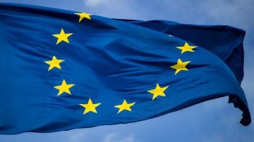 Egy fa egy üvegépület mellett